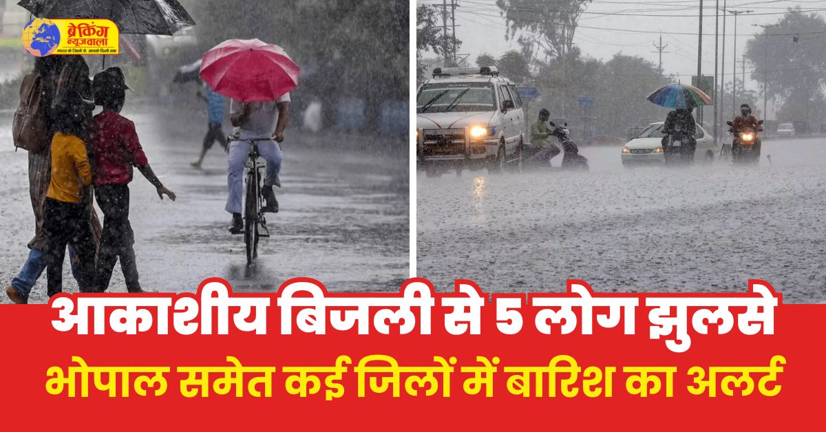 MP News :Heavy Rain Alert