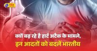 भारतीयों में क्यों बढ़ रहे है हार्ट अटैक के मामले, आइये जानते है इसके कारण और उपचार