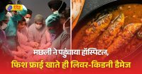 इंदौर में युवक की मछली खाने के बाद बिगड़ी तबीयत:लिवर-किडनी फेल; मौत के मुंह से खींच लाए डॉक्टर