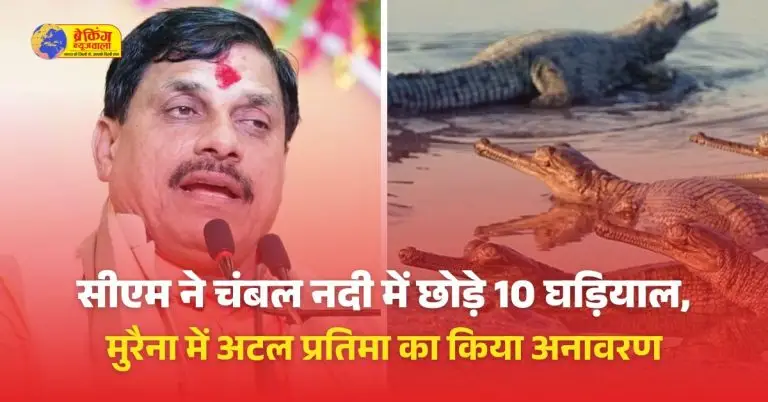 सीएम ने चंबल नदी में छाेड़े 10 घड़ियाल